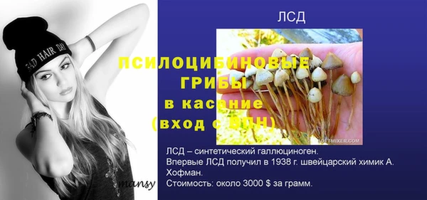 марихуана Баксан