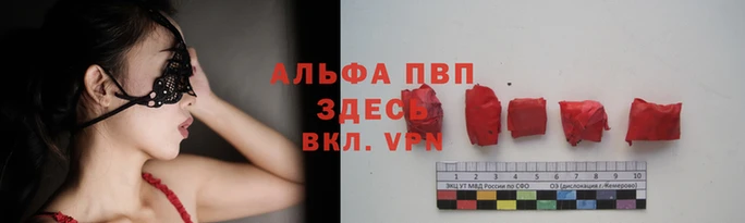 амф Балахна