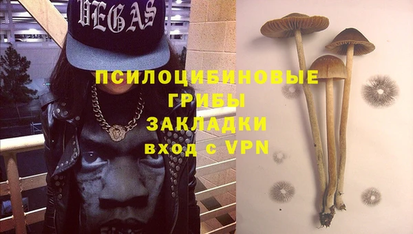 гидропоника Балабаново