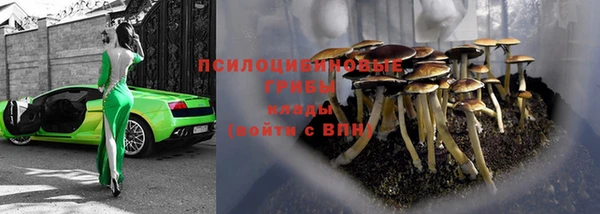 гидропоника Балабаново
