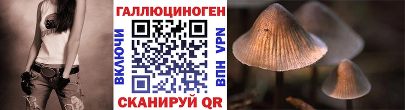 Псилоцибиновые грибы Psilocybe  omg как войти  Белая Холуница  что такое  