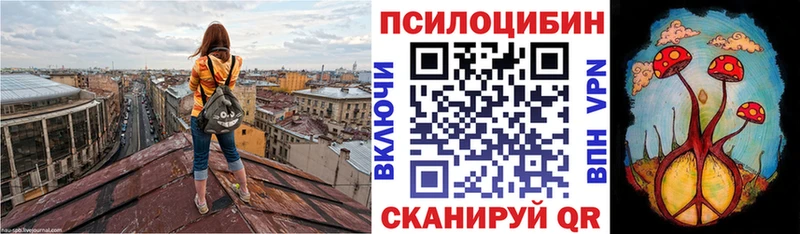 Псилоцибиновые грибы Psilocybe Белая Холуница